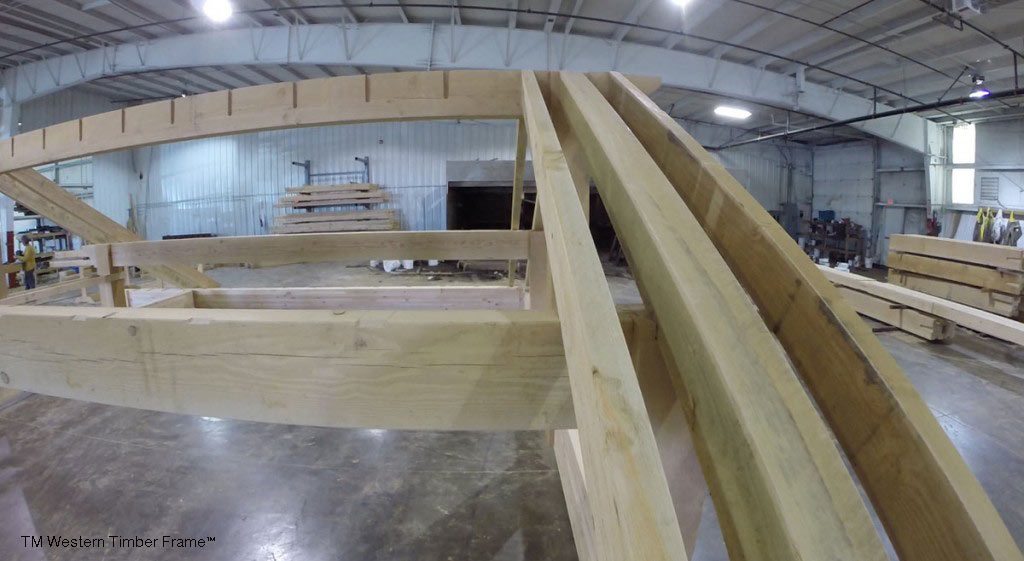 arched-beams-1024×561 arched beams for shade structure