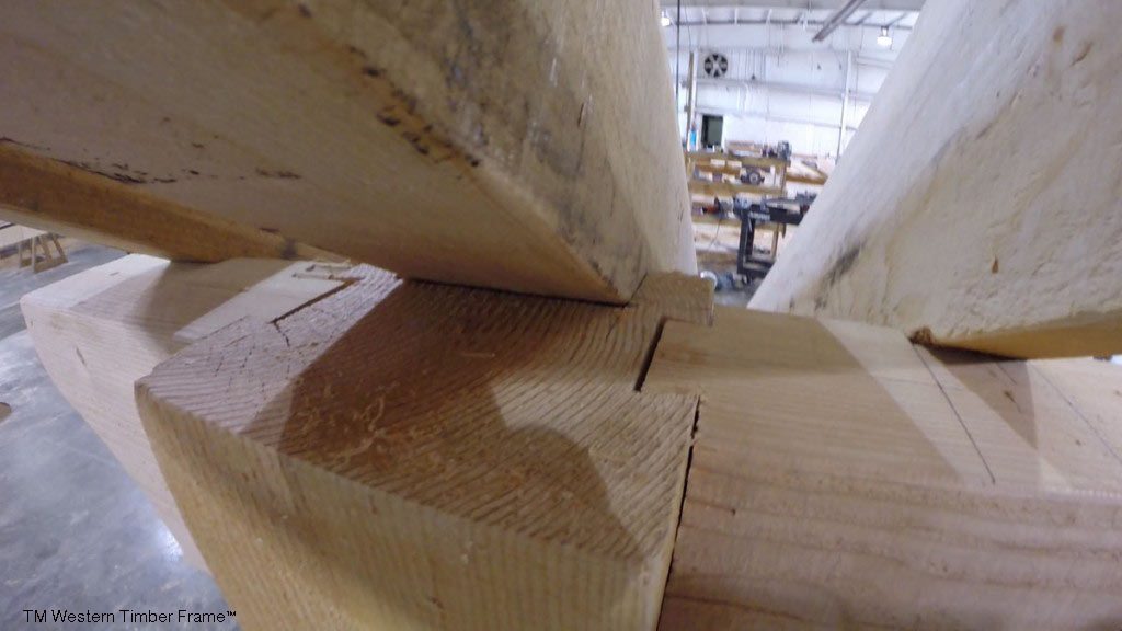 fit-pergola-together-1024×576 beams for building a wooden shade structure