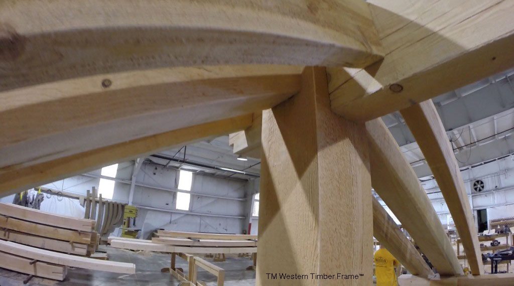 pergola-inside-shop-1024×570 building a pergola
